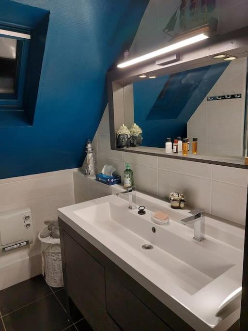 Bel Appartement 50 M2 Aux Portes De Strasbourg De 1 A 5 Personnes Chez Particuliers Avec 2 Sdb Coin Cuisine-Repas Et Kitchinette Prix Negociable Pour 1 Personne Vendenheim Kültér fotó